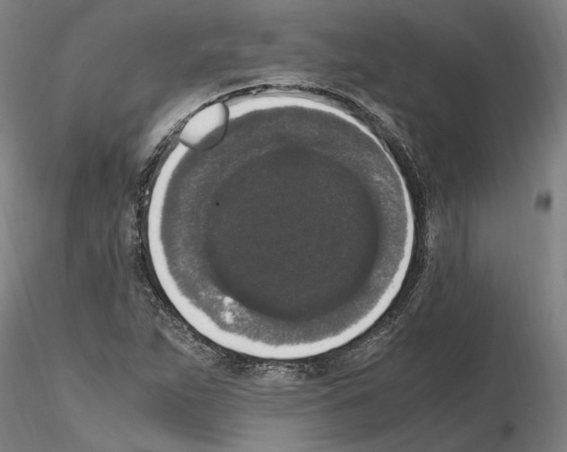 X0000114661263200912011127