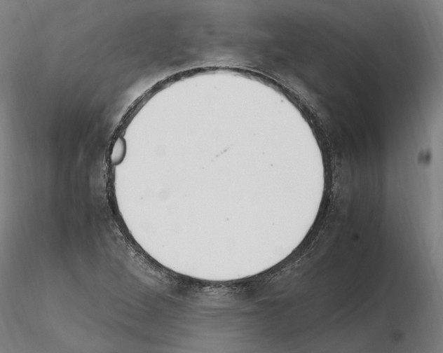 X0000114661264200912011127