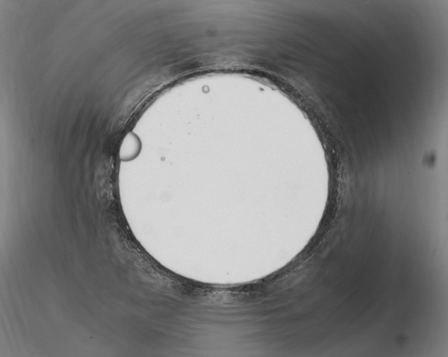 X0000114661265200912011127