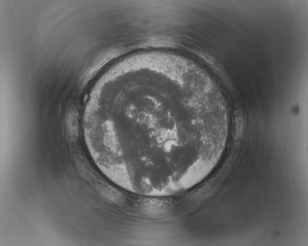 X0000114661266200912011127