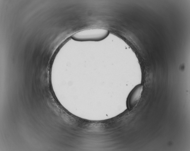 X0000114661268200912011126