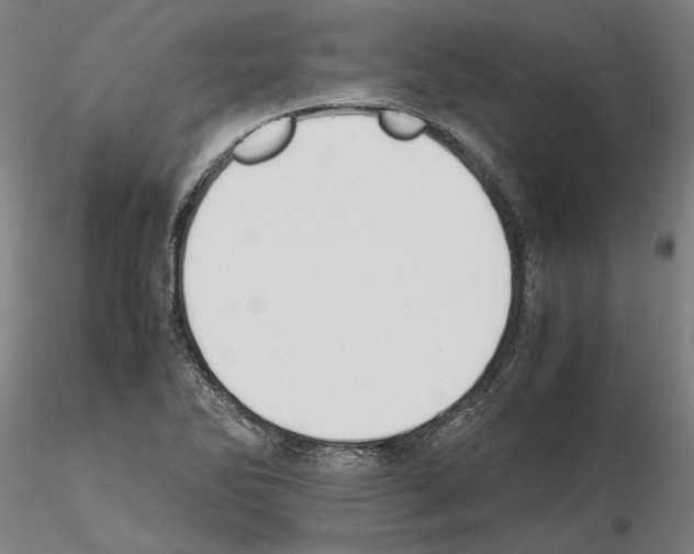 X0000114661270200912011126