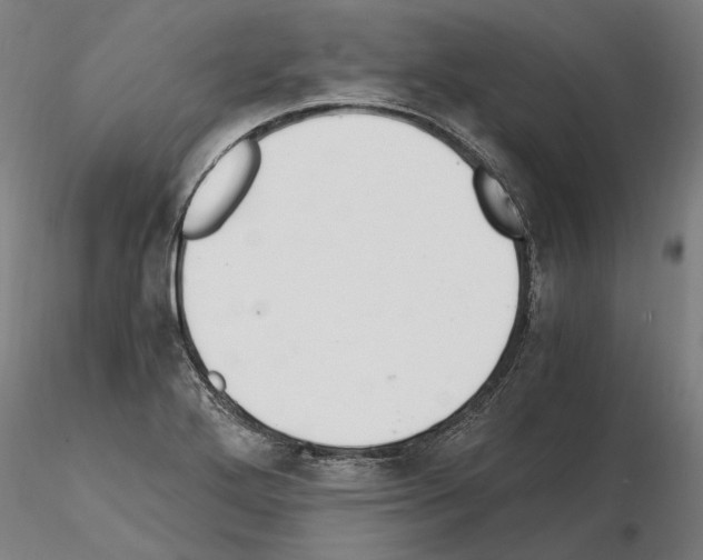 X0000114661272200912011126