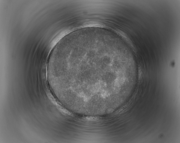 X0000114661274200912011126