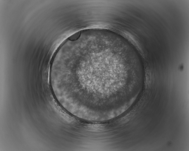 X0000114661276200912011126