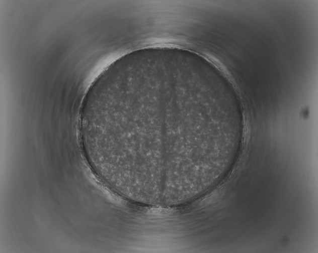 X0000114661277200912011126