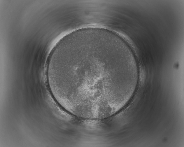 X0000114661278200912011126