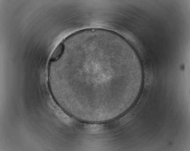 X0000114661280200912011126