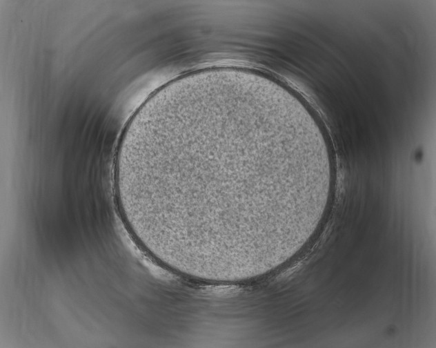 X0000114661282200912011126