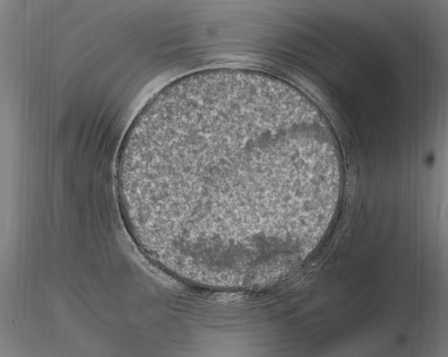 X0000114661283200912011126