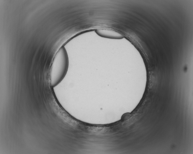 X0000114661284200912011126