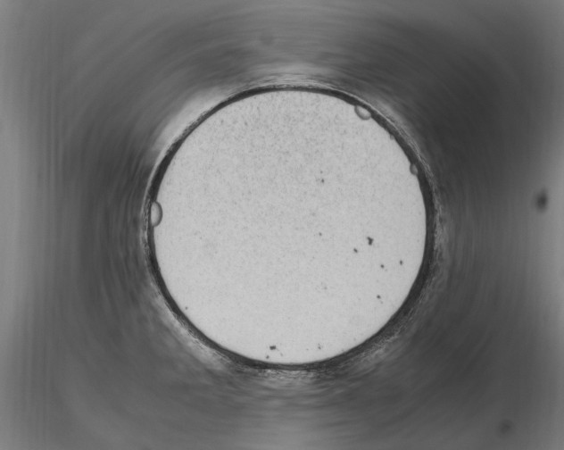 X0000114661285200912011126