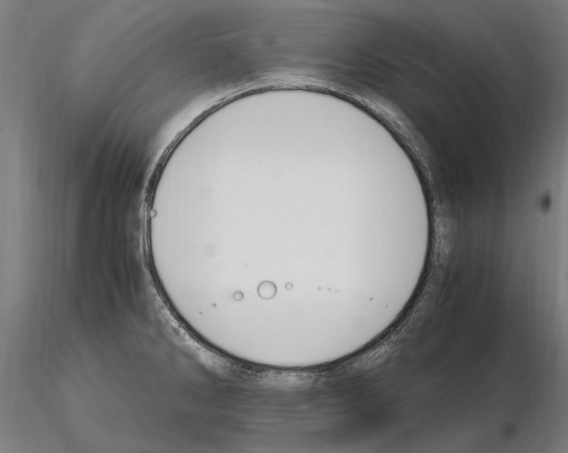 X0000114661286200912011126