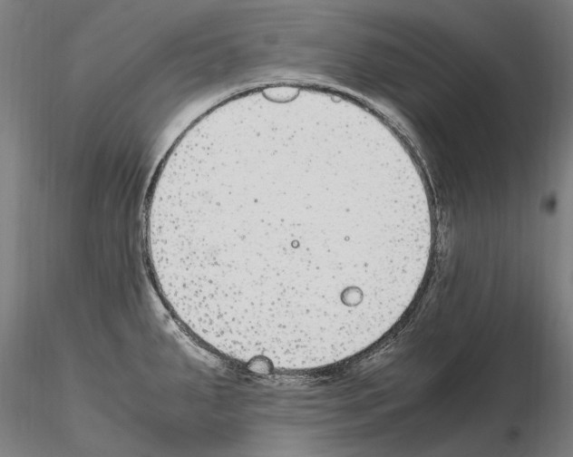 X0000114661287200912011126