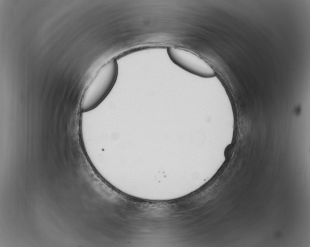 X0000114661288200912011126