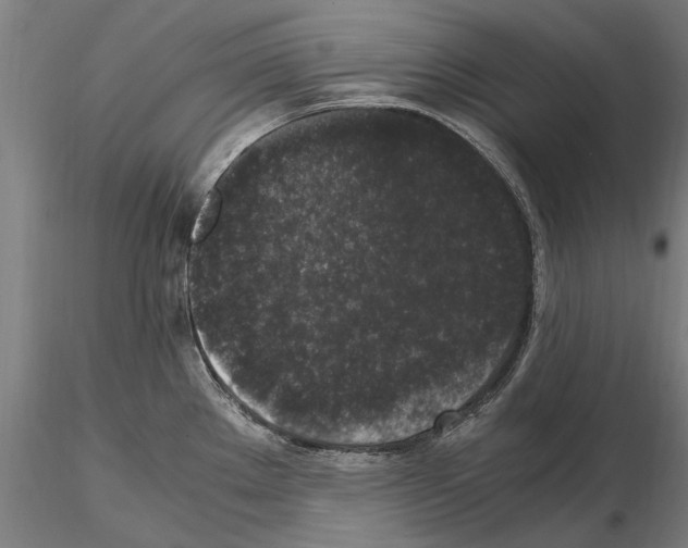 X0000114661289200912011126