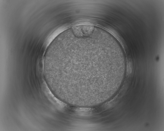 X0000114661290200912011126