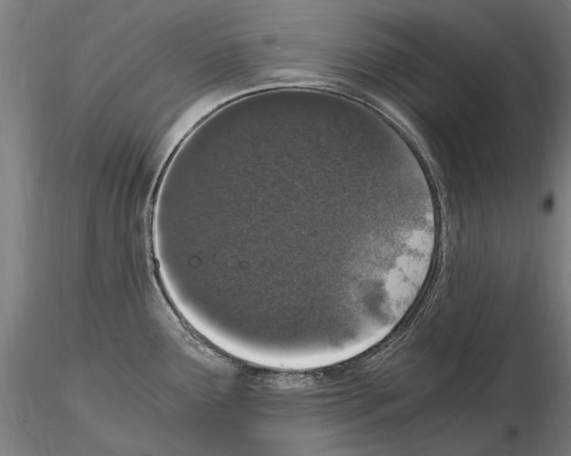 X0000114661291200912011126