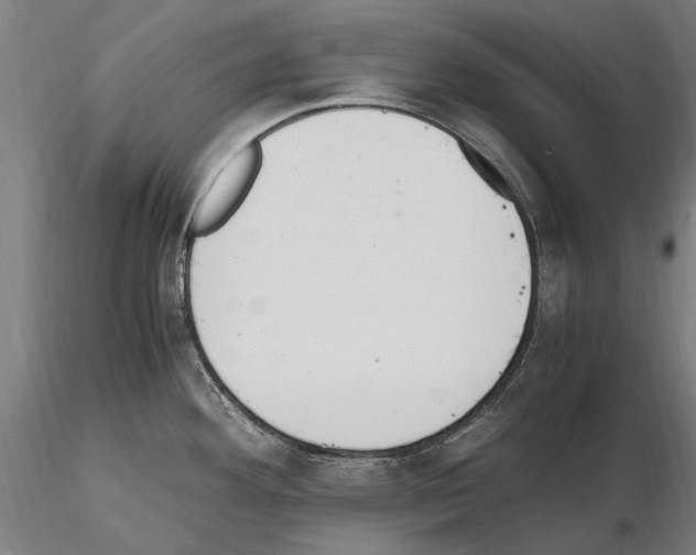 X0000114661292200912011126