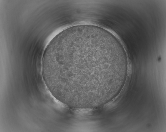 X0000114661294200912011126