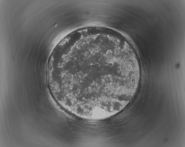 X0000114661295200912011126