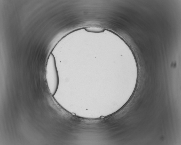 X0000114661296200912011126