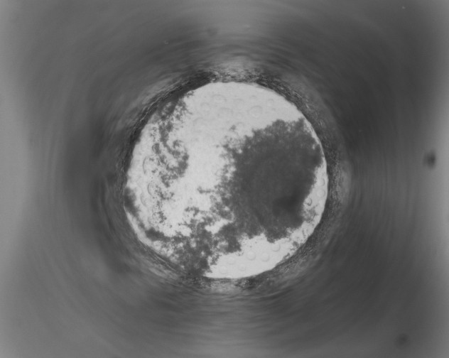 X0000114661297200912011125