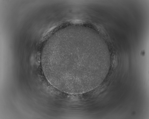 X0000114661301200912011125