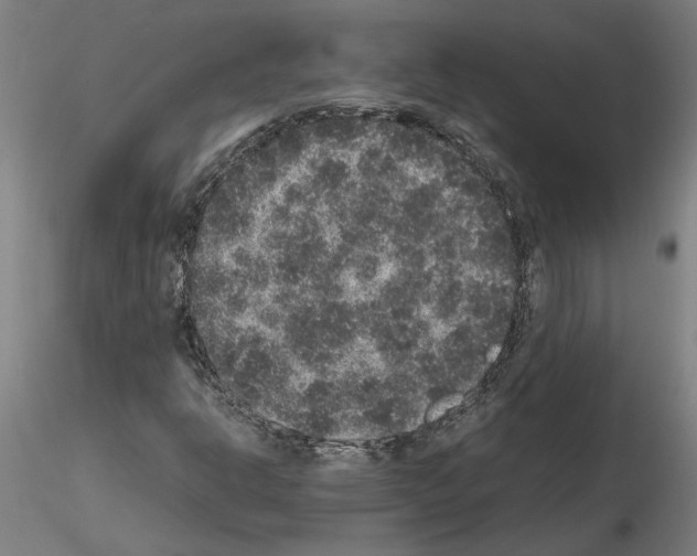 X0000114661302200912011126