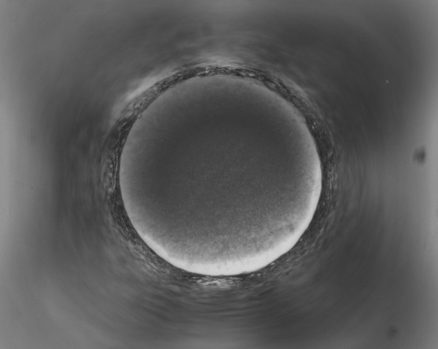 X0000114661303200912011126