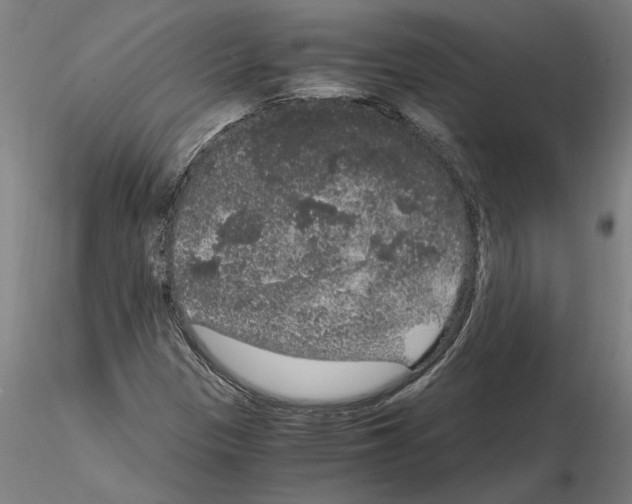 X0000114661305200912011126