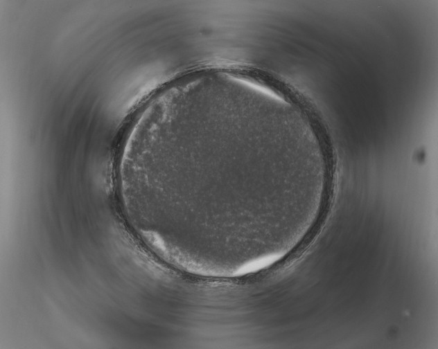 X0000114661306200912011126