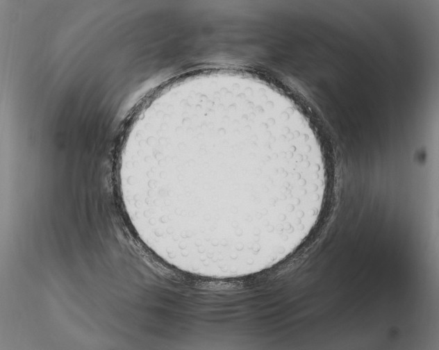 X0000114661307200912011126