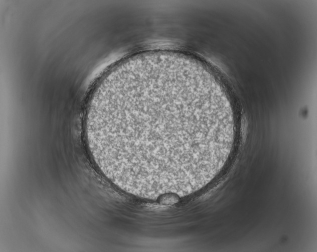 X0000114661309200912011126