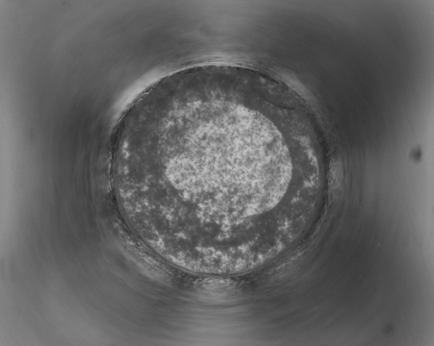 X0000114661310200912011126