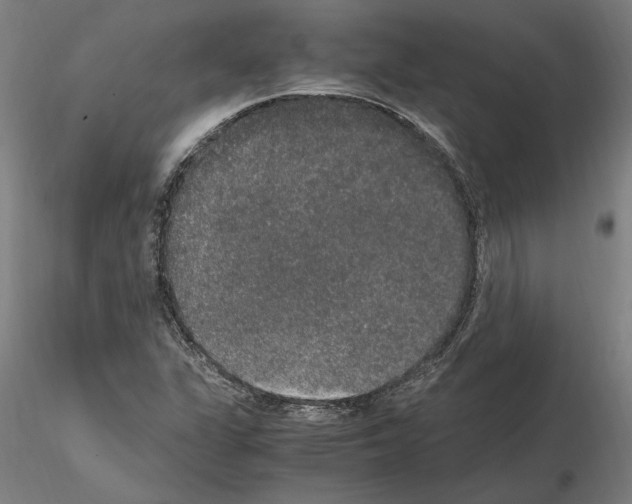 X0000114661311200912011126