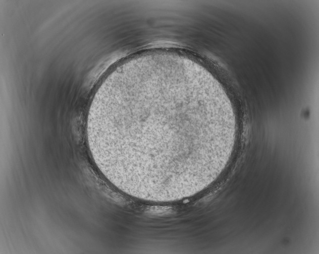 X0000114661313200912011126