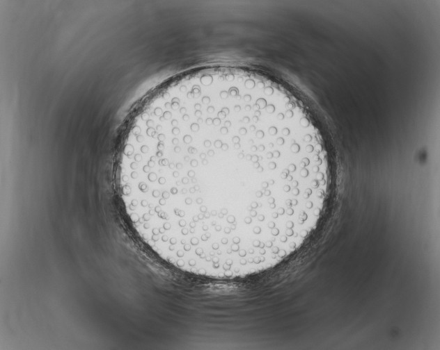 X0000114661315200912011126