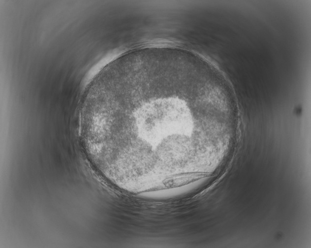 X0000114661317200912011126