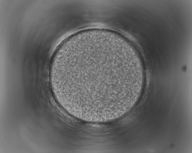 X0000114661318200912011126