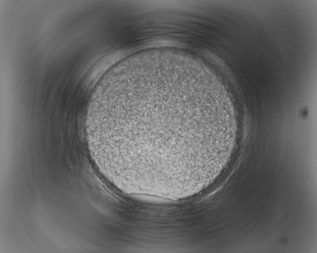 X0000114661321200912011126