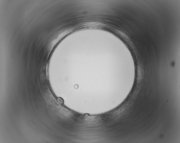 X0000114661322200912011126