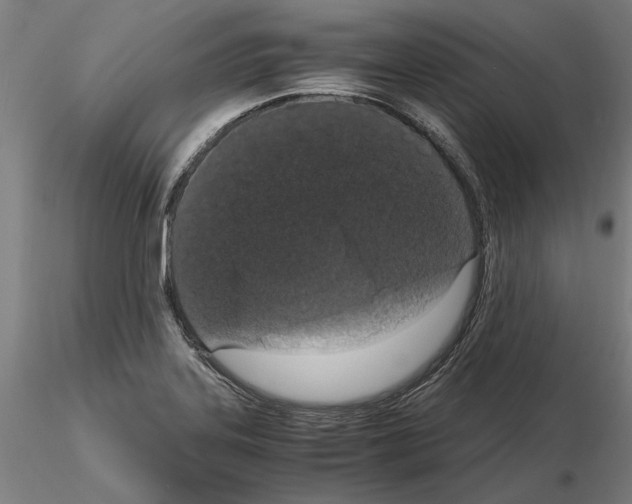 X0000114661323200912011126