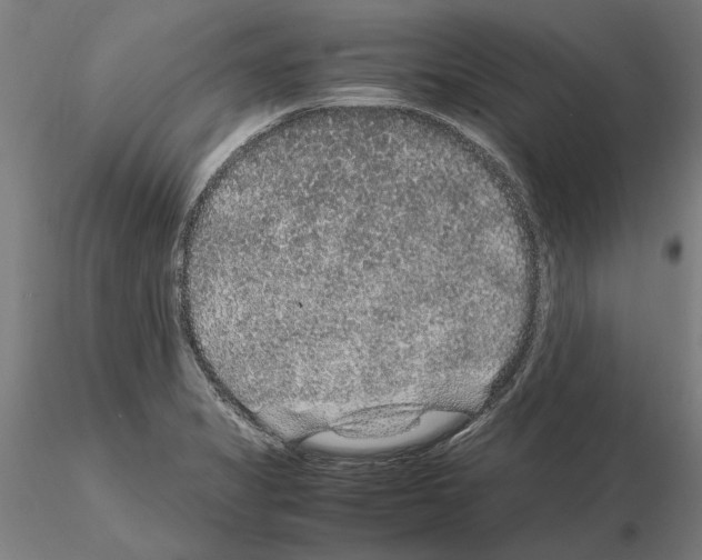 X0000114661325200912011126