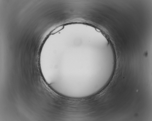 X0000114661326200912011126