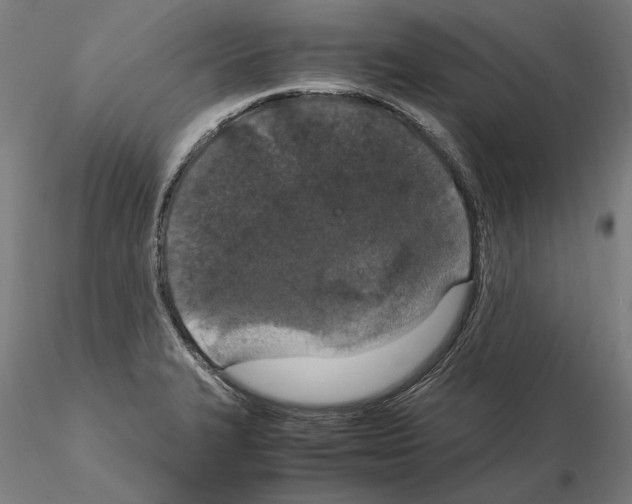 X0000114661327200912011126