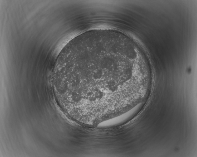 X0000114661329200912011126