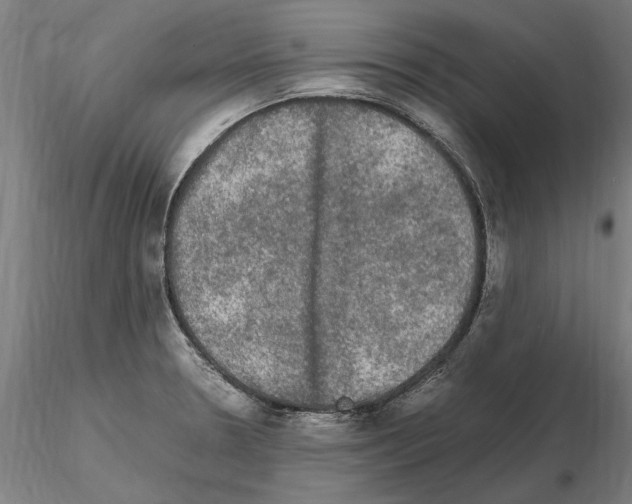 X0000114661330200912011126