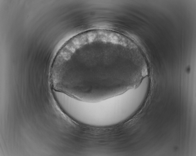 X0000114661331200912011126