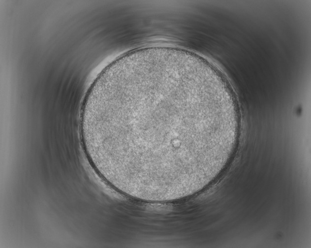 X0000114661333200912011126